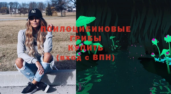 гидропоника Осинники